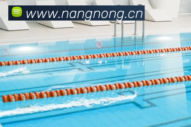 华体育app官网登录品牌故事